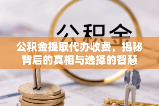 当涂公积金提取代办收费，揭秘背后的真相与选择的智慧