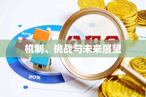 当涂机制、挑战与未来展望