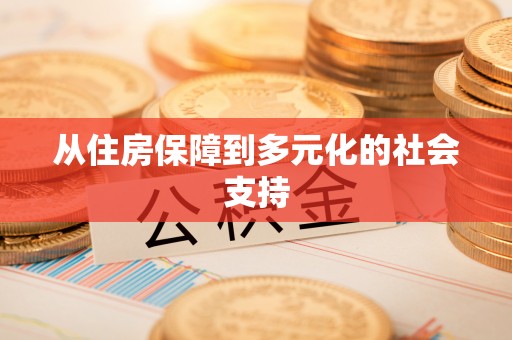 当涂从住房保障到多元化的社会支持