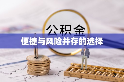 当涂便捷与风险并存的选择